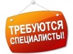Требуются авторы студенческих работ в Новосибирске (Фото)