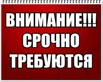 Приглашаем на работу авторов по написанию студенческих работ, Оренбург (Фото)