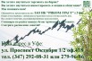 Обучение торговле на бирже. Обучение торговле ценными бумагами., Уфа (Фото)