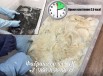Обучение промышленному осветлению и окрашиванию волос в Нижнем Новгороде (Фото)