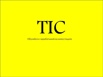 Разборы для предпринимателей и инвесторов от создателя проекта tic, Сочи (Фото)