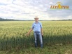 Курс Технология бинарных посевов в системе no-till Аграрум (Фото)