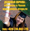 Бесплатное поступление в чешские вузы (Фото)