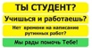 Заказать дипломную работу во Владимире. (Фото)
