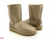 ugg ������ � ������ (����)