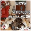 Продам меха, Абакан (Фото)