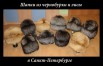 Распродажа меховых зимних шапок из чернобурки и лисицы, Санкт-Петербург (Фото)