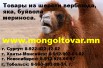 Купить изделия из верблюжьей шерсти, яка, буйвола, мериноса в розницу из Монголии. (Фото)