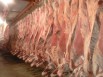 Мясо (свинина, говядина) от производителя в Екатеринбурге (Фото)