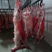 Говядина, баранина, мясо птицы, субпродукты в ассортименте (Фото)