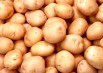 Продам картофель от 10 руб/кг, доставка до дома в Воронеже (Фото)