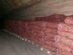 Продам картофель Адретта и Сантэ в Хабаровске (Фото)