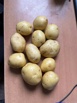 Картофель оптом от производителя. Рязанская обл., Спас-Клепики, Оренбург (Фото)