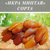 Сорта икры минтая (mako, aoko, КИРИКО, МИЗУКО, ГАМУКО, off), Владивосток (Фото)