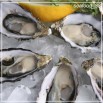 Морепродукты с Сахалина, Камчатки и Приморья!, Иркутск (Фото)