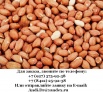 Арахис обжаренный целый (оптом), Ханты-Мансийск (Фото)