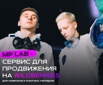 Вывод карточки товара в ТОП-3 на wildberries (Фото)