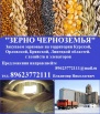 На постоянной основе приобретаем с хозяйств и элеваторов зерно, Курск (Фото)