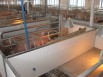 Оборудование для свинокомплексов, Саранск (Фото)