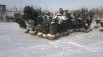 Продам саженцы "кедра, ёлки, сосны" в Красноярске (Фото)