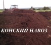 Конский навоз в мешках - лучший продукт для удобрения почвы (Фото)