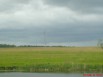 Земля сельхоз назначения в Рязанской области (Фото)