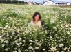 Земельный участок с коммуникациями с. Новоалексеевское, Екатеринбург (Фото)