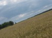 927 гектаров Участок земли для сельхозпроизводства, Тамбов (Фото)