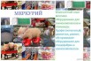 Монтаж оборудования для свинокомплексов и птичников, Ульяновск (Фото)