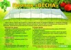 Парник "Весна" в Уфе (Фото)