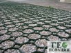 Газонные решетки для благоустройства, Санкт-Петербург (Фото)