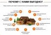 Строительство домов и бань из экологически чистого бревна, Владимир (Фото)