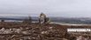 Расчистка участков от 1 га под «ключ», Новосибирск (Фото)