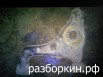 ����� �������� �������� 210, ������-��� (����)