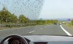 �������� ��� ������, ������ (����)
