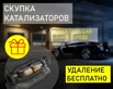 Удаление катализаторов / Скупка. Наша доплата в Москве (Фото)