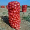 Сетка-мешок для фасовки (упаковки) овощей, фруктов, дров и от компании ООО Эталон в Оренбурге (Фото)