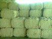 Продам вату "Прима", Барнаул (Фото)