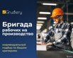 Разнорабочие. Грузчики в СПб от 350 р. ГрузБеру (Фото)