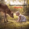 Трогательный подарок для ваших близких в Уфе (Фото)