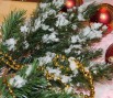 Новогодние супер новинки к 2015 году в Ростове (Фото)
