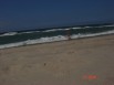 Отдых на Балтийском море, Куршская коса, п.Рыбачий, частный сектор в Калининграде (Фото)