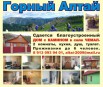 Сдам дом в Горном Алтае (Фото)