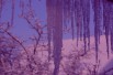 Индивидуальная экскурсия по Петербургу. Бесплатная экскурсия для детей. в Санкт-Петербурге (Фото)