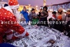 Новогодняя экскурсия по Петербургу в Санкт-Петербурге (Фото)