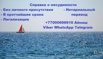 Справка о несудимости из Казахстана без личного присутствия в Москве (Фото)