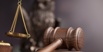 Помощь юриста в решении споров по государственным и негосударственным контрактам в Санкт-Петербурге (Фото)