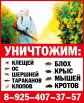 Дезинфекция квартир в Коломне, уничтожение клопов в Коломне, в Воскресенске (Фото)