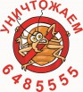 Уничтожение клопов, их дезинсекция, борьба с клопами в Москве (Фото)
