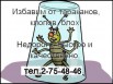 Уничтожение тараканов, блох, клопов и прочих насекомых. Без грязи, быстро, качественно, Владивосток (Фото)
